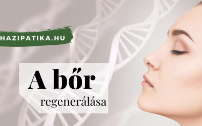 A bőr regenerálása